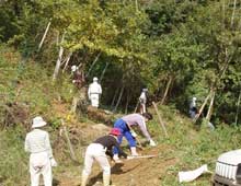 歩道の整備風景